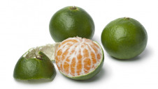 Satsumas and other easy-peelers, as well as oranges, initially grow as a green fruit but turn orange as nights cool